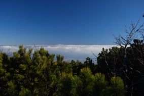 gorgeous clouds