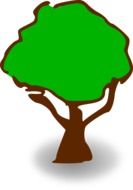 green tree as a symbol