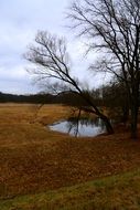 small pond in an autumn forest