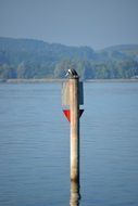 wooden pole on Lake Constance