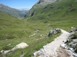 green alpine valley in the summer