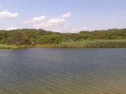 river water in summer