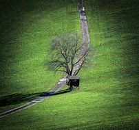 old hut on a green meadow