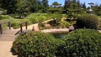 bridge in a landscape park on a sunny day