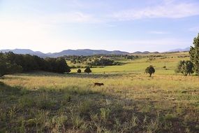 countryside in colorado