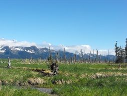 panorama of beautiful nature, usa, Alaska
