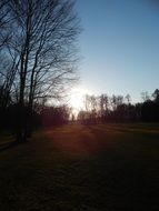 bright sun over spring landscape