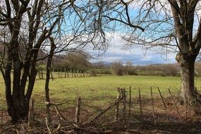 fenced lawn in spring landscape