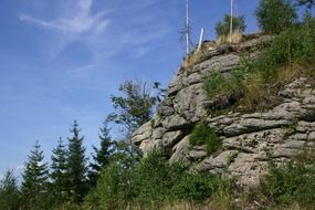 scenic rock in forest at summer