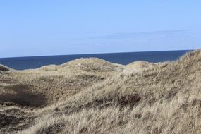 Landscape of dunes