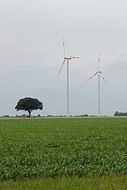 pinwheel on a green field