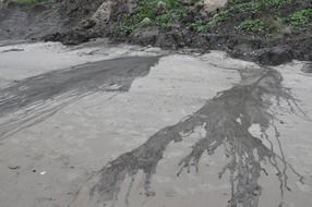 sandy beach in western Pomerania close up