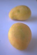 yellow mango on the table