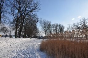 landscape of snowy Poland