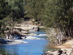 Landscape of stones in a river in forest