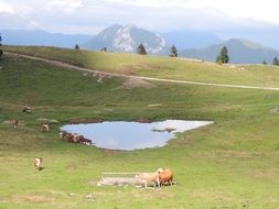 slovenia mountains small lake