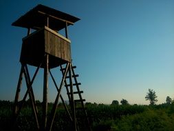 wooden tower for hunting in nature