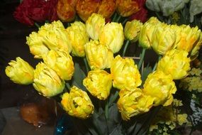 Natural yellow blossoms bouquets