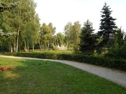 bushes near the path in the park