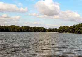 pond water