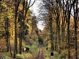 narrow railroad in autumn forest