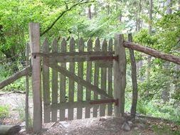 wooden gate on the fence