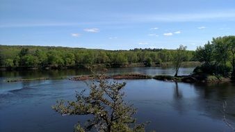 green trees near the river in minnesota