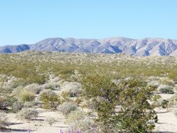 gorgeous arizona desert