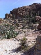 Landscape of the beautiful desert canyon with plants at blue sky with white clouds on background