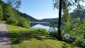 lake in the black forest on a sunny day