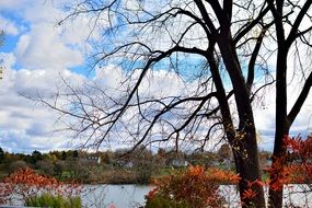 white clouds over the lake in the park