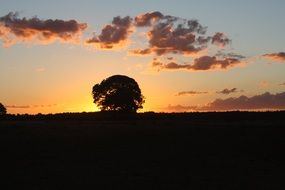 sol landscape