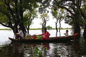 Boat with people among the floating forest