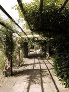 tunnel from plants in rural areas