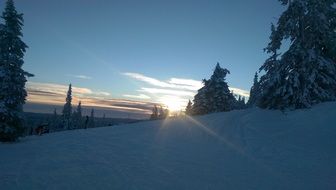 Beautiful landscape of the snowy alps with plants in light in Trysil, Norway