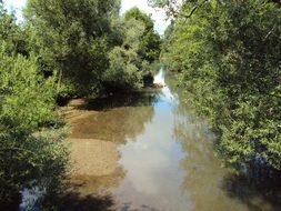 small forest river