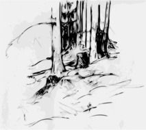 Ä°llustration of the forest