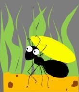 cartoon ant drawing