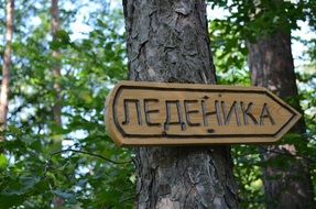 wooden pointer of Ledenika cave