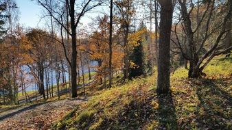 finnish spring park