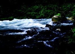 spring water in the forest at dusk