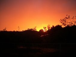 yellow-orange sunset over the forest