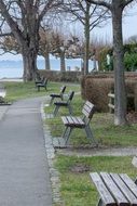 Wooden benches along the alley with colorful trees in the beautiful park