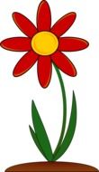 plant floral drawing