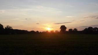 Beautiful landscape with silhouettes of the plants at colorful sunset