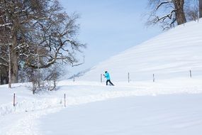 skier on the slope on a sunny day