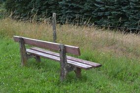 wooden bench on green grass in the forest