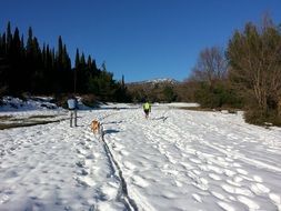 Hiking on the snowy mountain