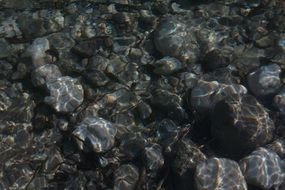 water bank stones
