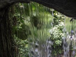 green plants behind the waterfall